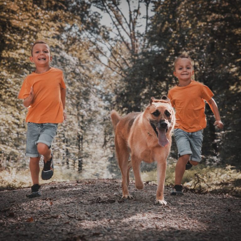 Kinderfotoshooting - die Kleinen ganz groß
Saarland, Luxemburg, Perl und Umgebung