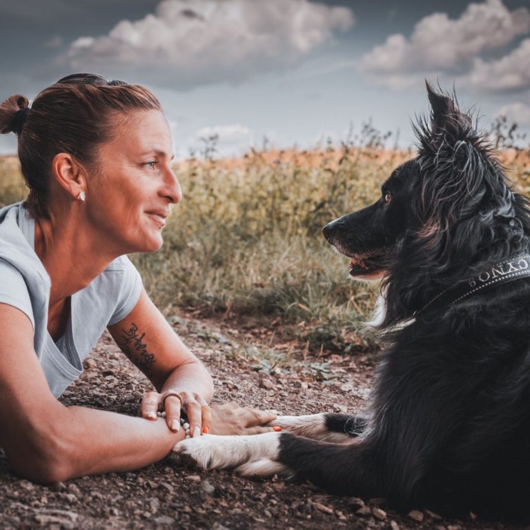 Unvergessliche Bilder mit deinem Haustier - besten Freund. Fotoshooting mit der Fellnase deines Herzens!  Luxemburg, Saarland, Perl